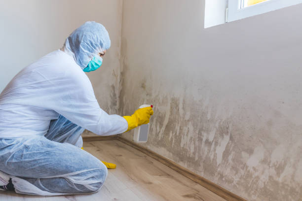 Mold Remediation specialist working in Jefferson