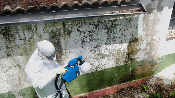 Mold Remediation service in Jefferson, Jefferson, NC